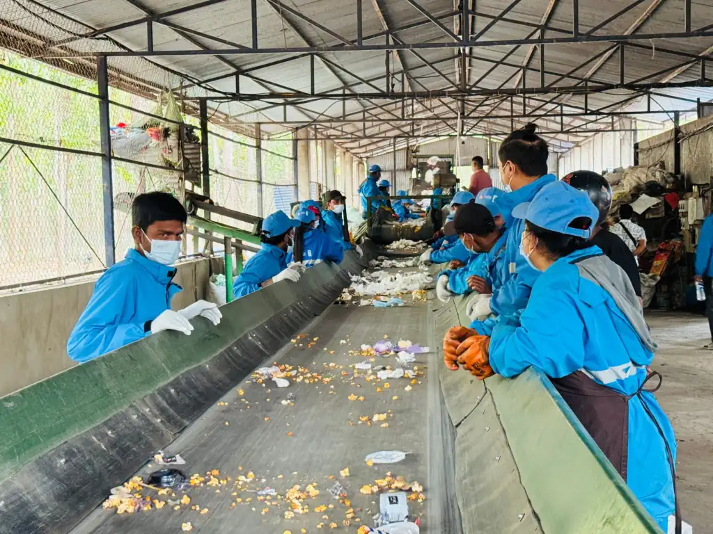 2024年食品批发市场热门品类与采购趋势分析