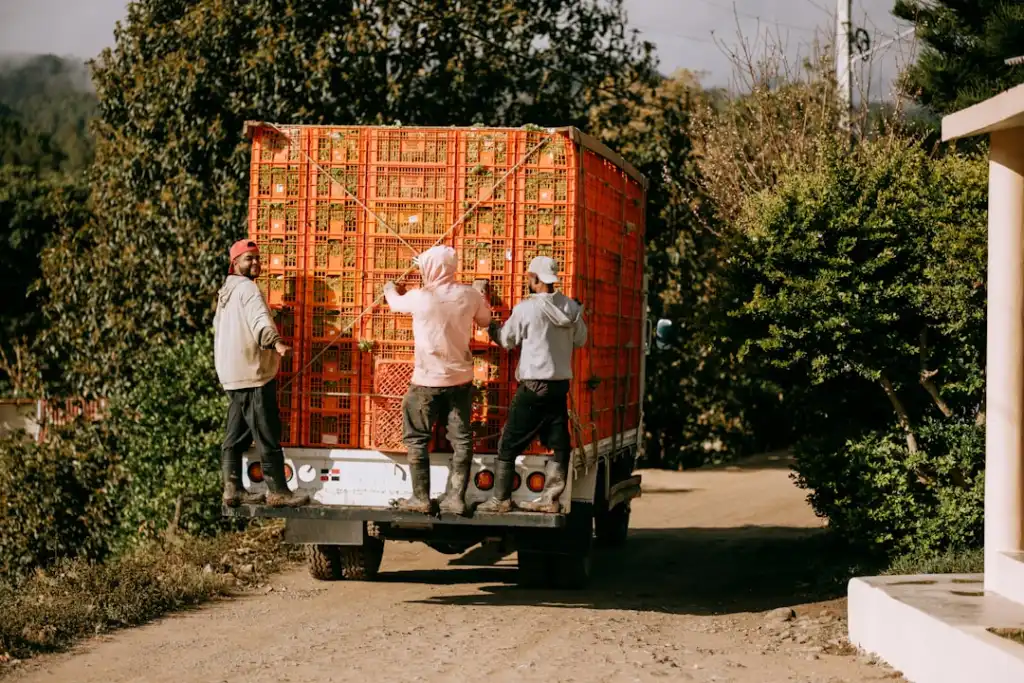 食品批发企业客户采购指南：朝晨商贸全品类供货方案解析封面图
